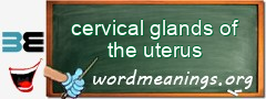 WordMeaning blackboard for cervical glands of the uterus